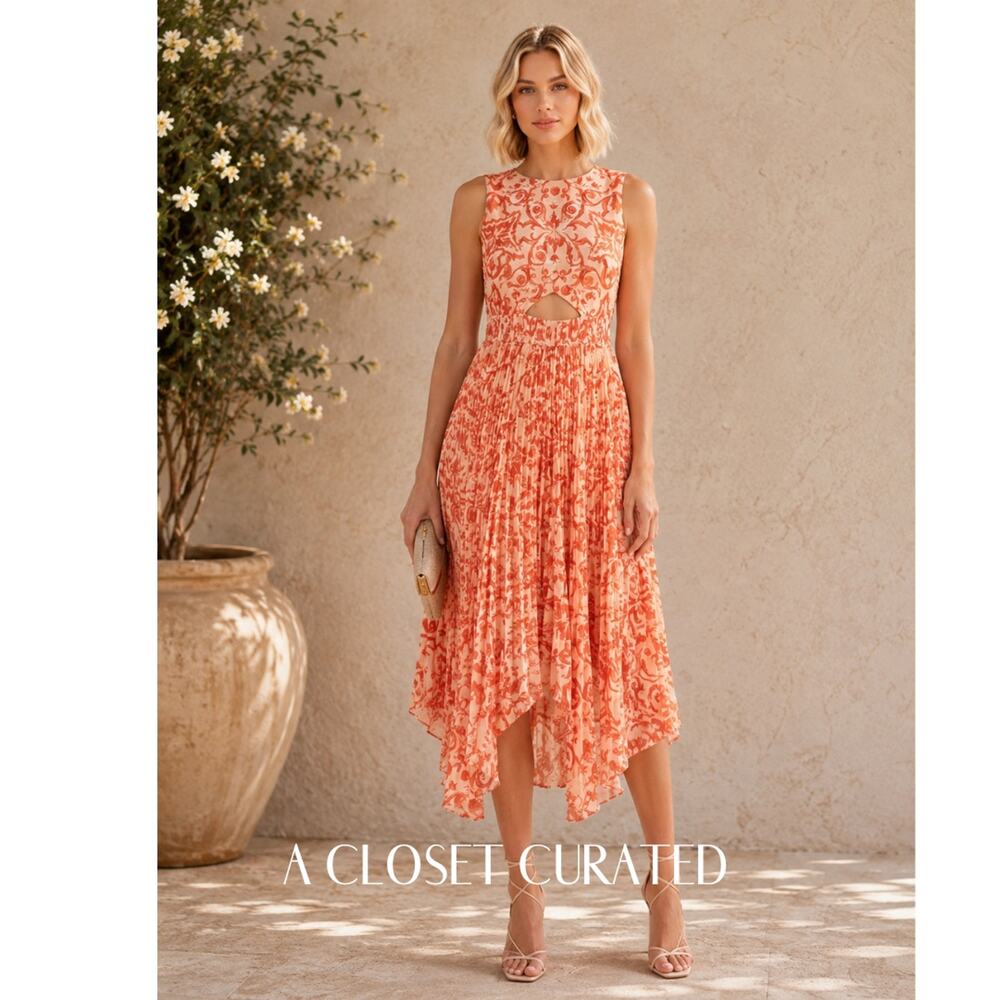 Amur Dress 00